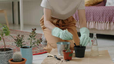 Young-Woman-Repotting-Houseplant-at-Home